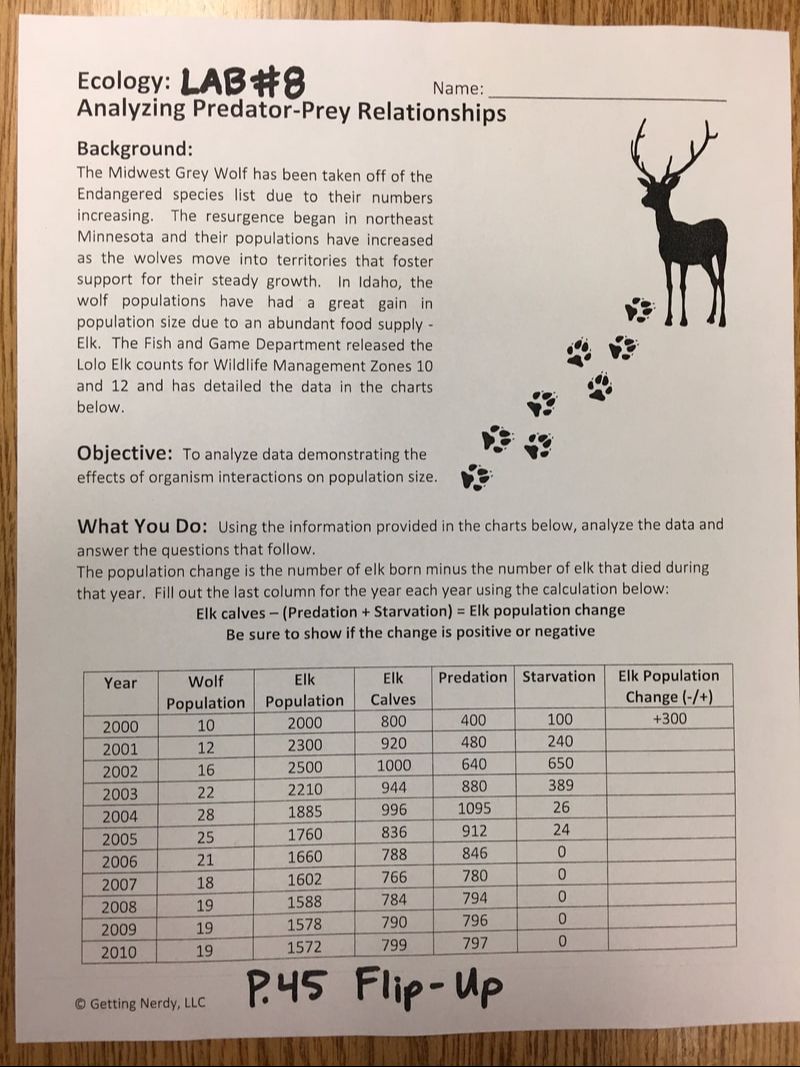 Deer And Wolf Population Worksheet Answers Worksheet List